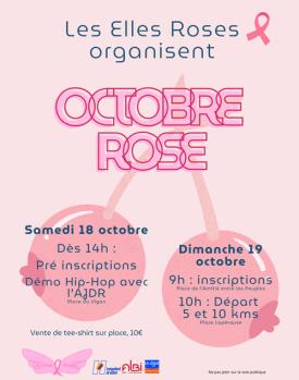 Octobre rose : marche organisée par "Les Elles Roses"